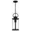 Abdelmalek 1-Light Matte Black Mini Pendant Light
