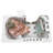 Ella Petite 28"x52" Acrylic Hydro Massage w/ Independent Foot Massage Walk-In Bathtub, 5 Piece Fast Fill Faucet, 2" Dual Drain-121283084
