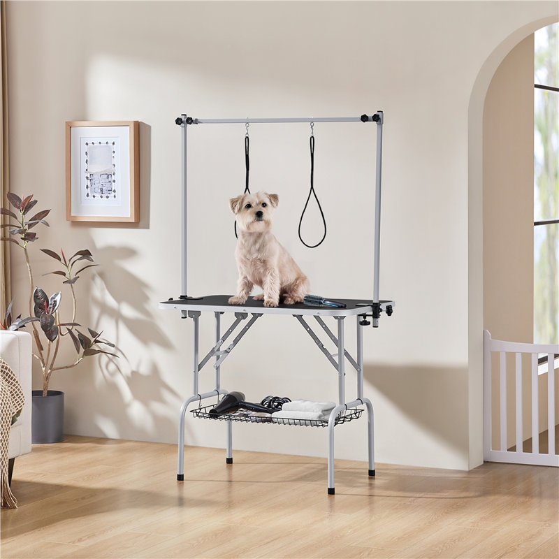 163.5cm H x 96cm W x 61cm D Adjustable and Foldable Folding Grooming Table, Black