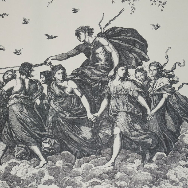 TOILE DE SOL EN TOILE CHARIOT DE L’AUBE