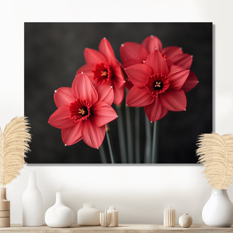 Photo de jonquilles goutte de pluie monochrome noir et rouge - jonquilles murales, Toile tendue, H 12 po x l 20 po