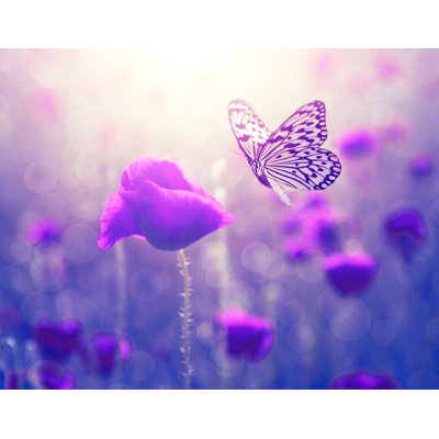 Décalcomanie murale amovible papillon et rose