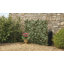 Alvild 100 cm H x 200 cm W Expanding Trellis