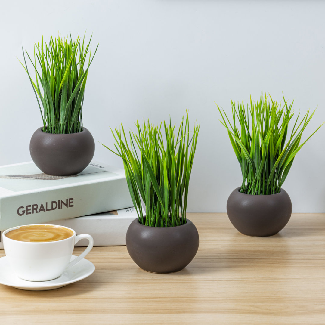 7.1'' Artificial Grass Fake Plants with Round Pot (Set of 3) Primrue