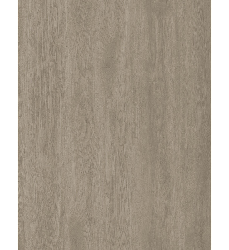 Planche d'échantillon Gluecore Essential # 8007 Frisco, Ash Grey