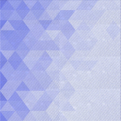 Indoor Rug