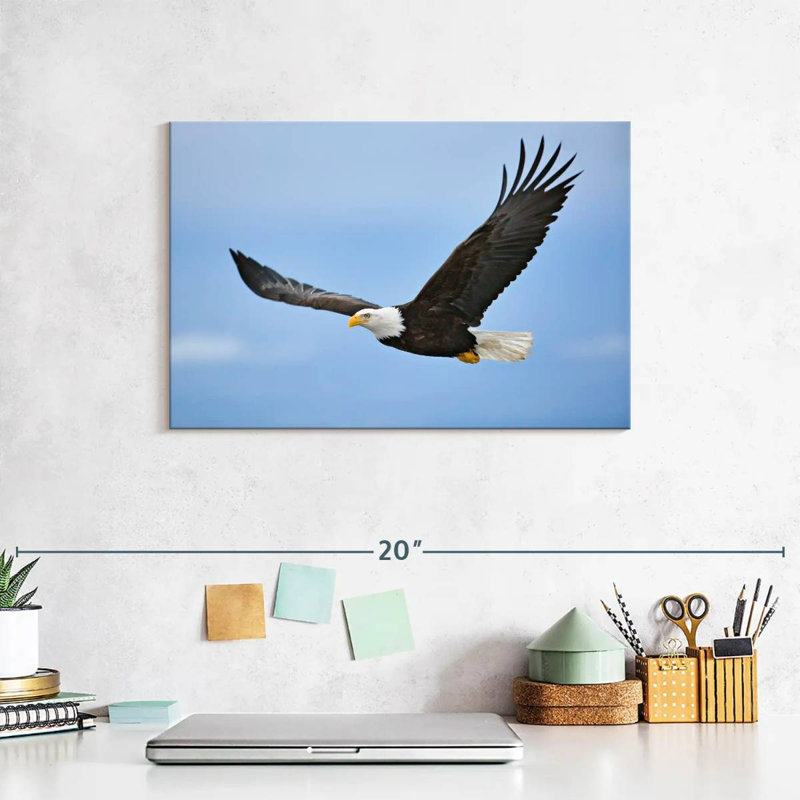 Brampt Gliding Bald Eagle, 8" H x 12" W