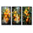 Orange Tropical Twist-394932345-394932347