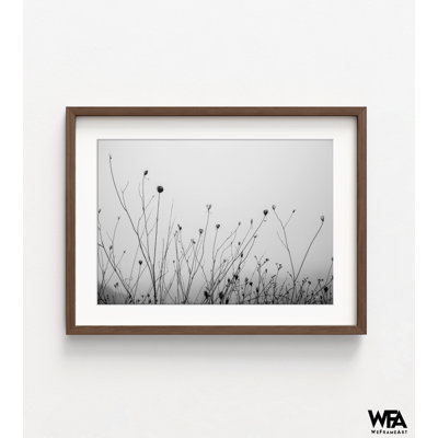 Black And Gray Nature Photo Oversized Wall Art, Natural Landscape Picture Frames Large Wall Art, Black Plants Wall Art