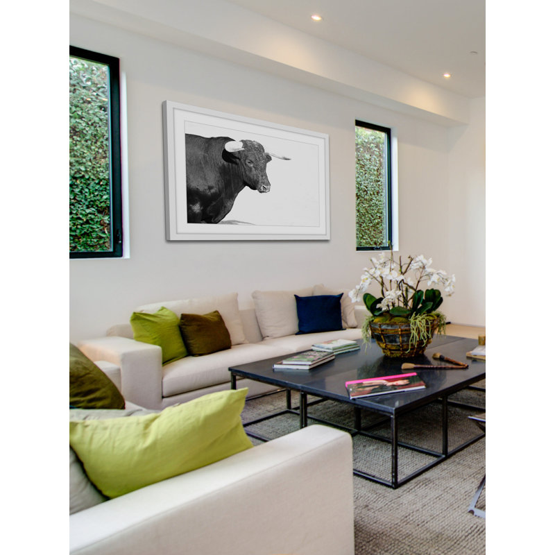 « corned animaux »-cadre photo, impression sur papier, H 12 po x l 18 po x P 1,5 po, Cadre blanc