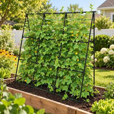 49.4 in. H x 49.4 in. W Steel Obelisk Trellis