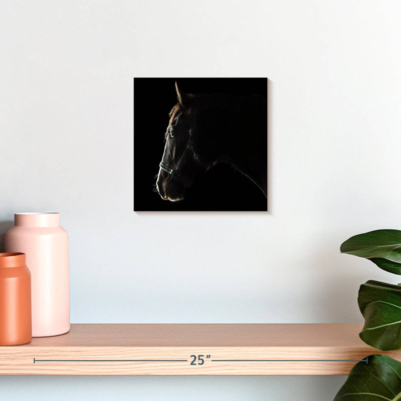 Crowle Black Clydesdale Cross Horse