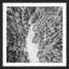 Karolis Janulis - Single Picture Frame Print-463074906
