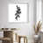 White Shadowbox
