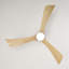 Ventilateur de plafond 52 po avec lumières-121071131-121071132