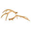 Golden Antlers, Gold (Set of 2)