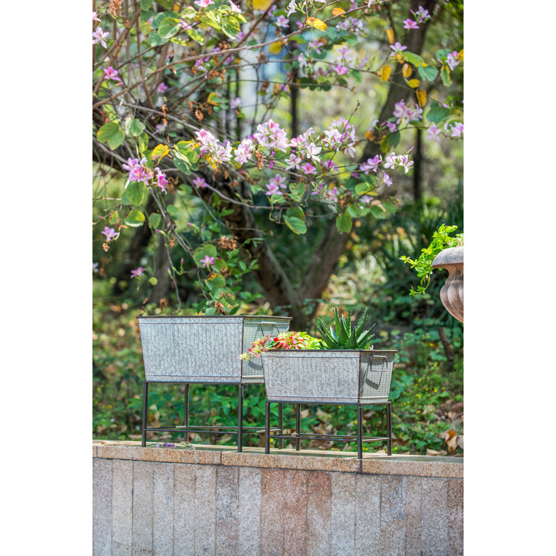 Ensemble de 2 pots à fleurs rustiques en métal avec supports Zale