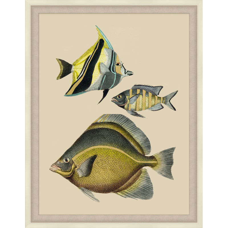Tropical Fish With Gold Detail 1 Print