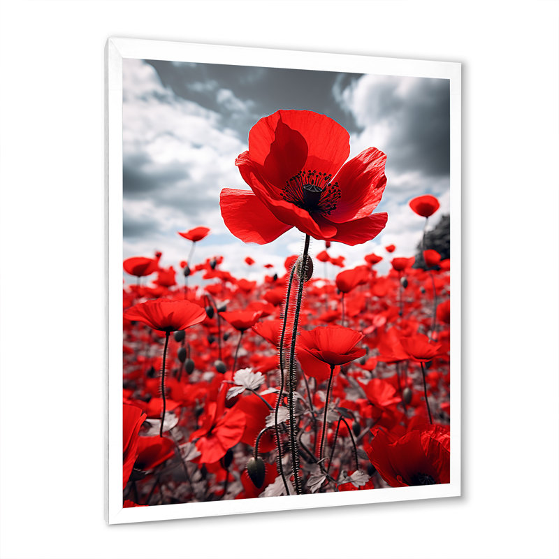 Weixel Flower Field Scarlet Symphony I - impression, H 20 po x l 12 po x P 1 po, Cadre photo blanc