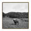 Highlander/Elk, Ca Print by Wesley And Emma Teague-1923083624-1923083622-1923083620