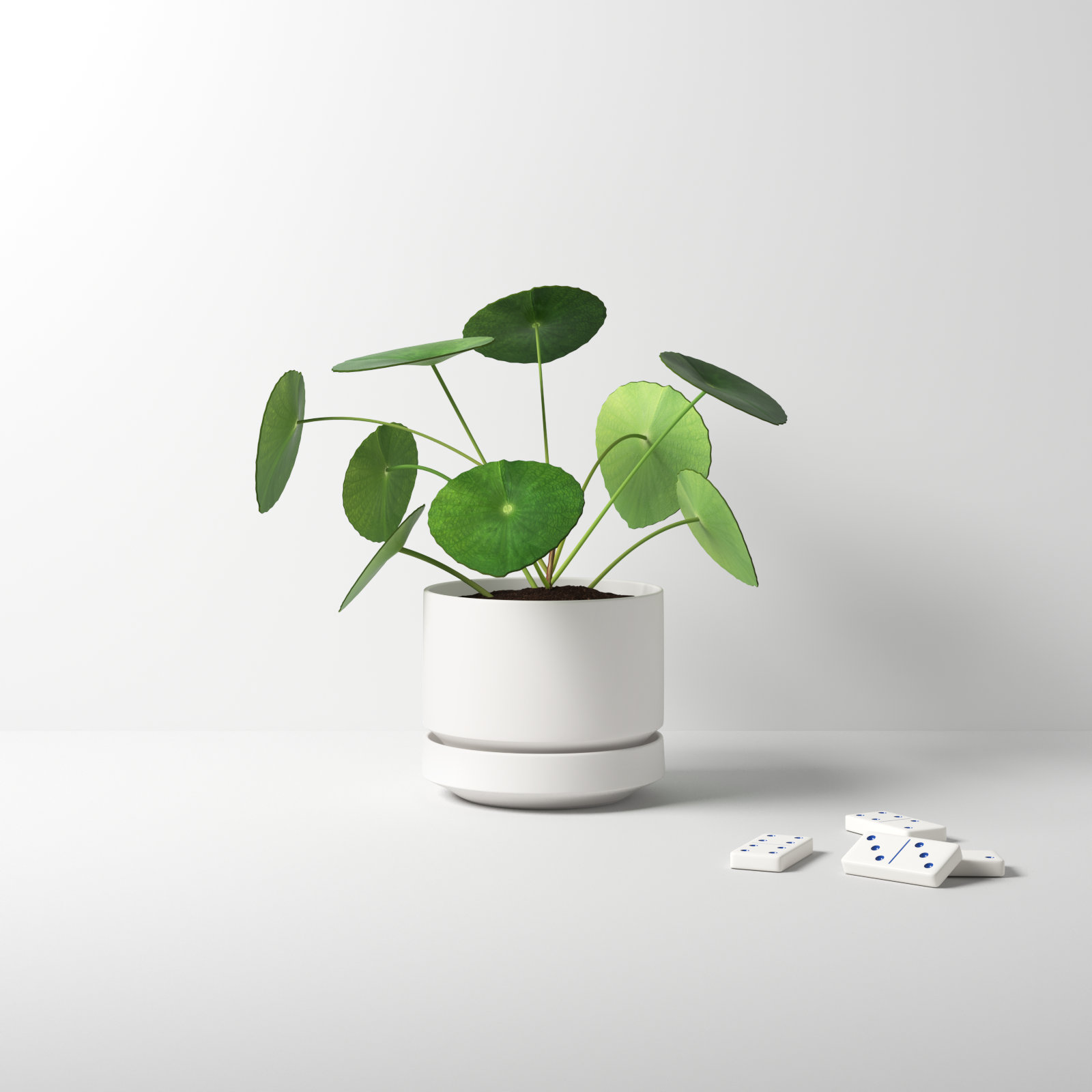Byer 10" Ceramic Pot Planter, White, 6" H x 7" W x 7" D