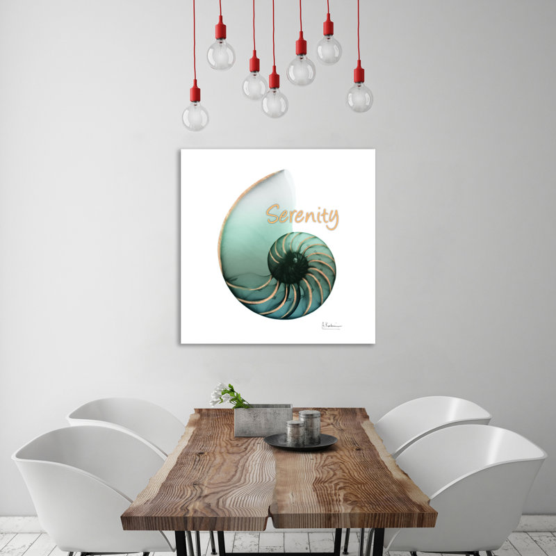 Shinny Serenity Snail 1 - Wrapped Canvas Print, 91cm H x 91cm W x 4cm D