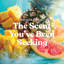  Grande bougie parfumée Bahama Breeze