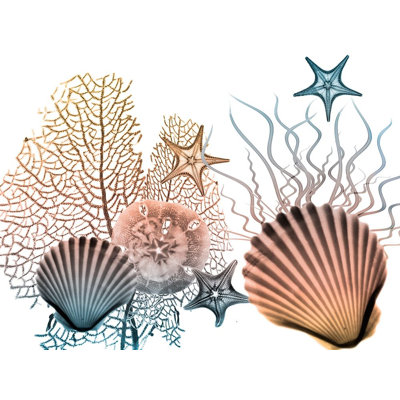 Impression sur affiche Sea Collective 2 par Albert Koetsier (24 X 18) # AK8RC093B