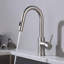 Robinet de cuisine à poignée simple avec accessoires Luxe-53136772