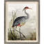 Héron gris - Reproduction d'art sur papier encadré