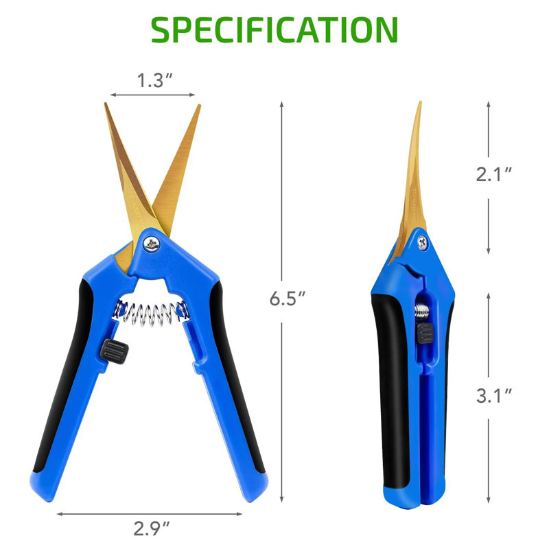 Séchoir à linge pliable suspendu à 4 couches 4 pieds avec anneaux robustes et sac de transport, pour plantes, graines et bourgeons, vert, paquet de 1 et sécateur bleu 6,5 po