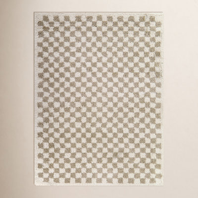 Walker Beige Checkered Shag Area Rug