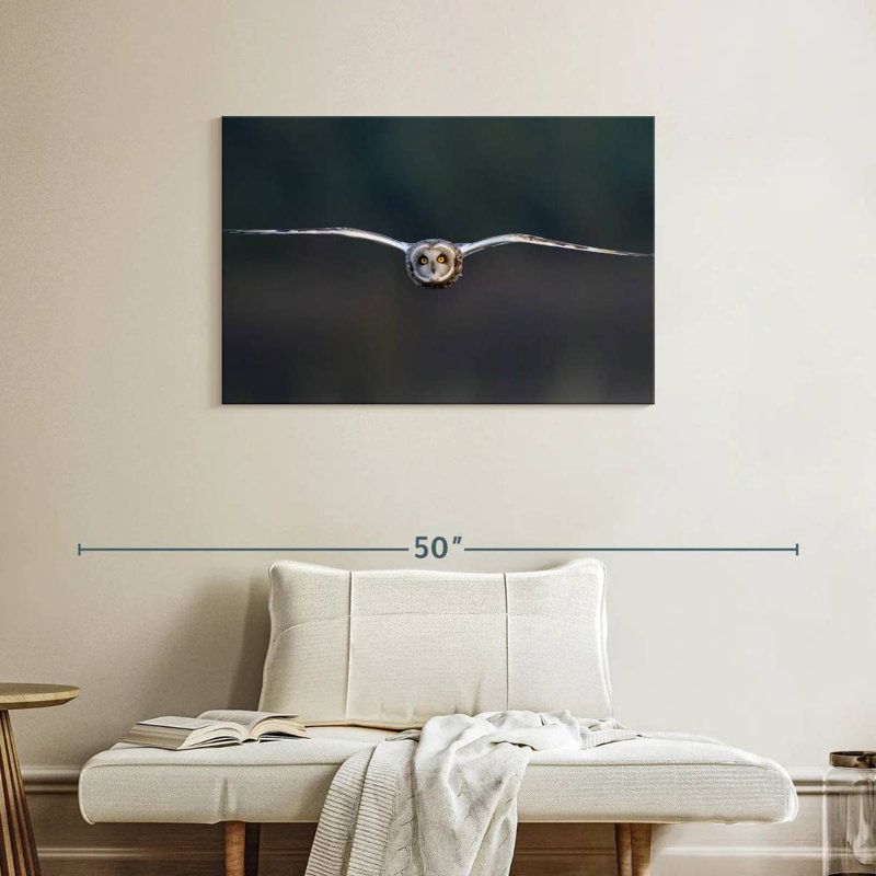 Owl Mid Air, 24" H x 36" W