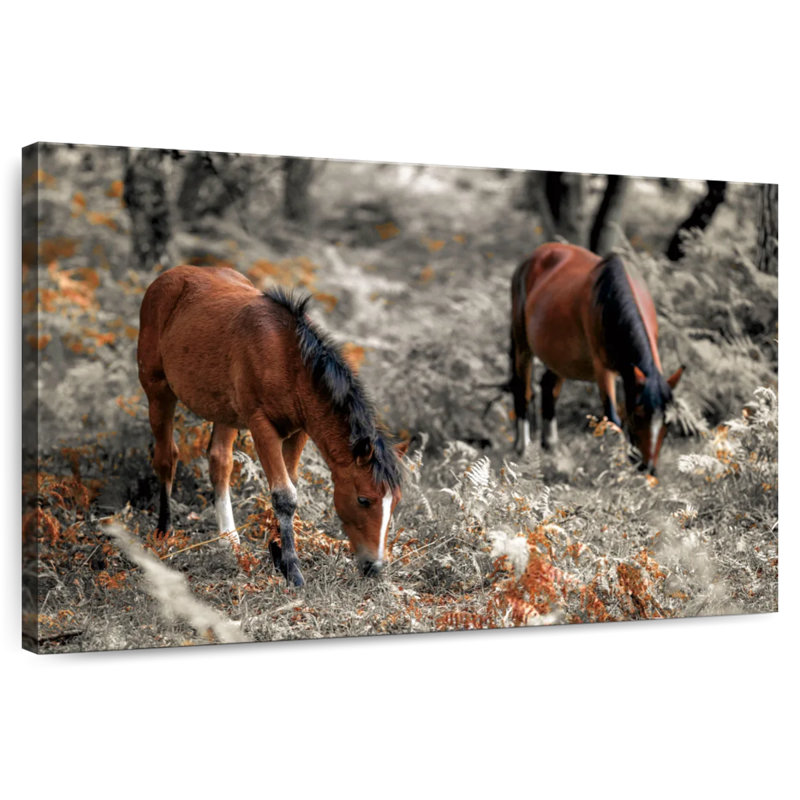 Horse Trails II, 34" H x 51" W