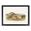 Warm Wood Hare by J.W. Audubon - Framed Print-55612245-55612246