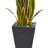 Sansevieria Artificial Plant in Slate Planter
