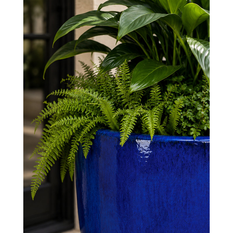 24 in. Tall Vestro - Falling Blue